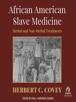 cover image of African American Slave Medicine